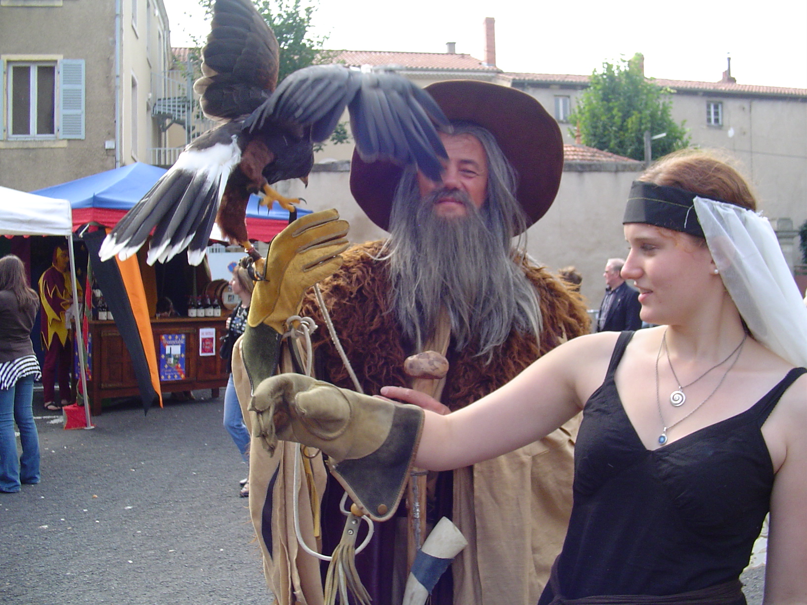 Fantasy festival in France and organizing a workcamp in your own home town